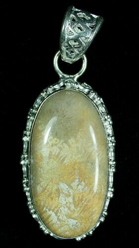 Fossil Coral Pendant - Sterling Silver #6011